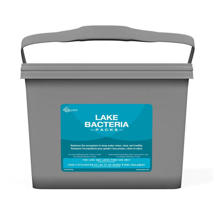 Lake Bacteria