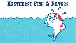 Kenthurst Fish & Filters