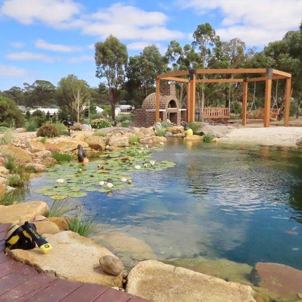 How To Build A Perfect Water Garden - Aquascape Australia