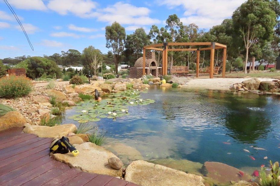 How To Build A Perfect Water Garden - Aquascape Australia
