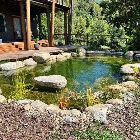How to Stop Mosquitoes Breeding in Your Outdoor Water Feature - Aquascape Australia
