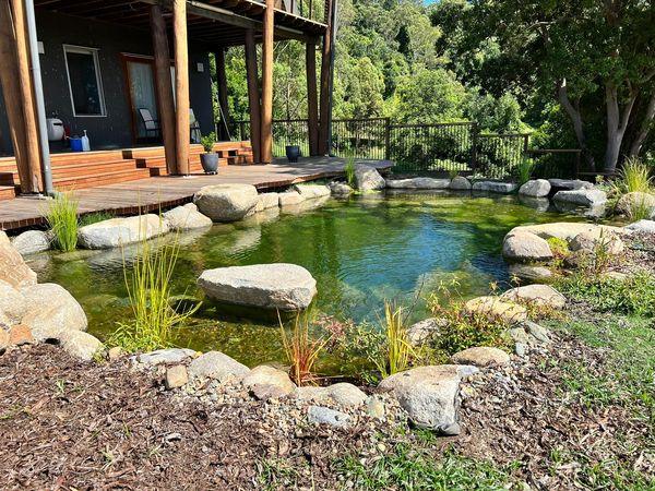 How to Stop Mosquitoes Breeding in Your Outdoor Water Feature - Aquascape Australia