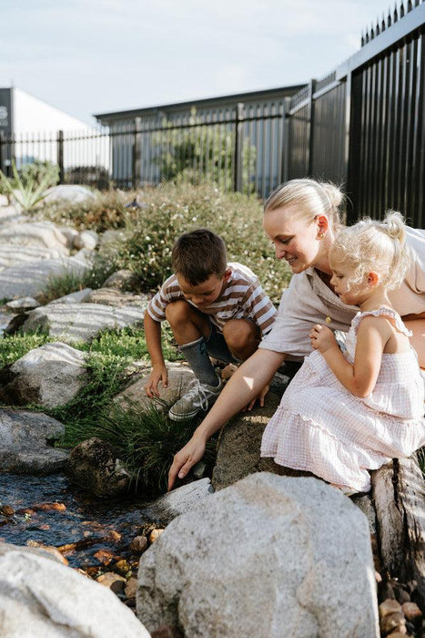 Easy Tips for a Happy Water Garden - Aquascape Australia