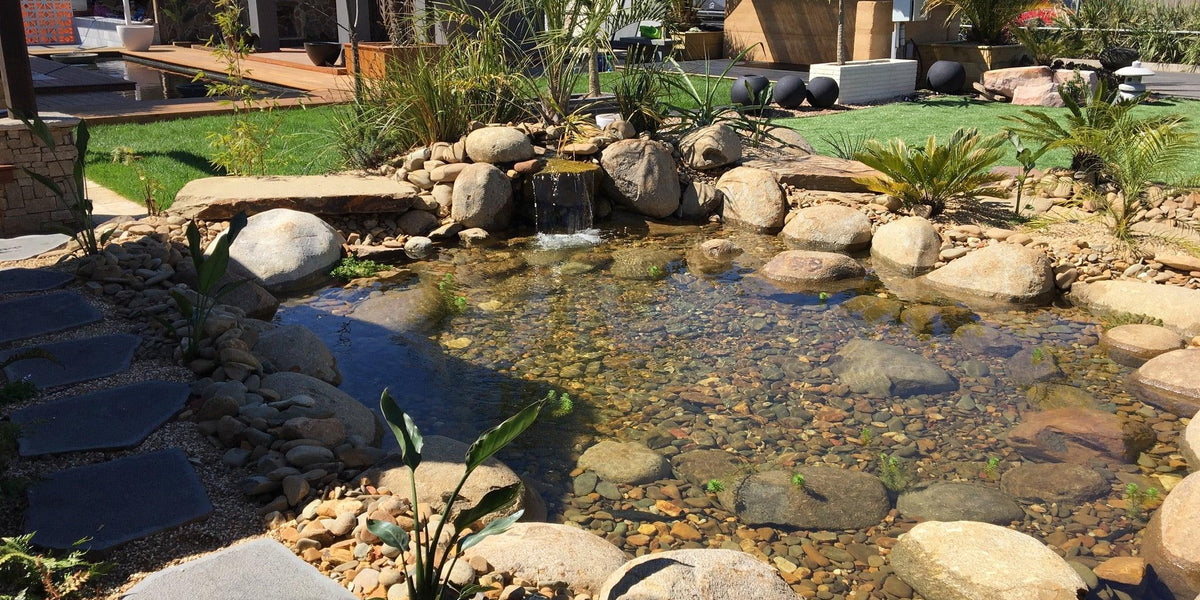 Inexpensive Pond Liner Ideas Are They Worth It — Aquascape Australia