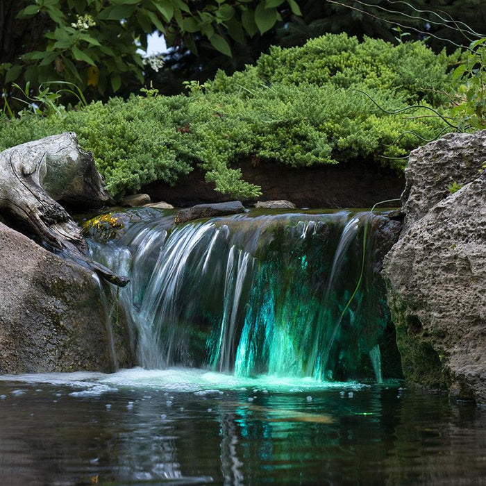 3 Easy Ways To Enhance Your Pond - Aquascape Australia