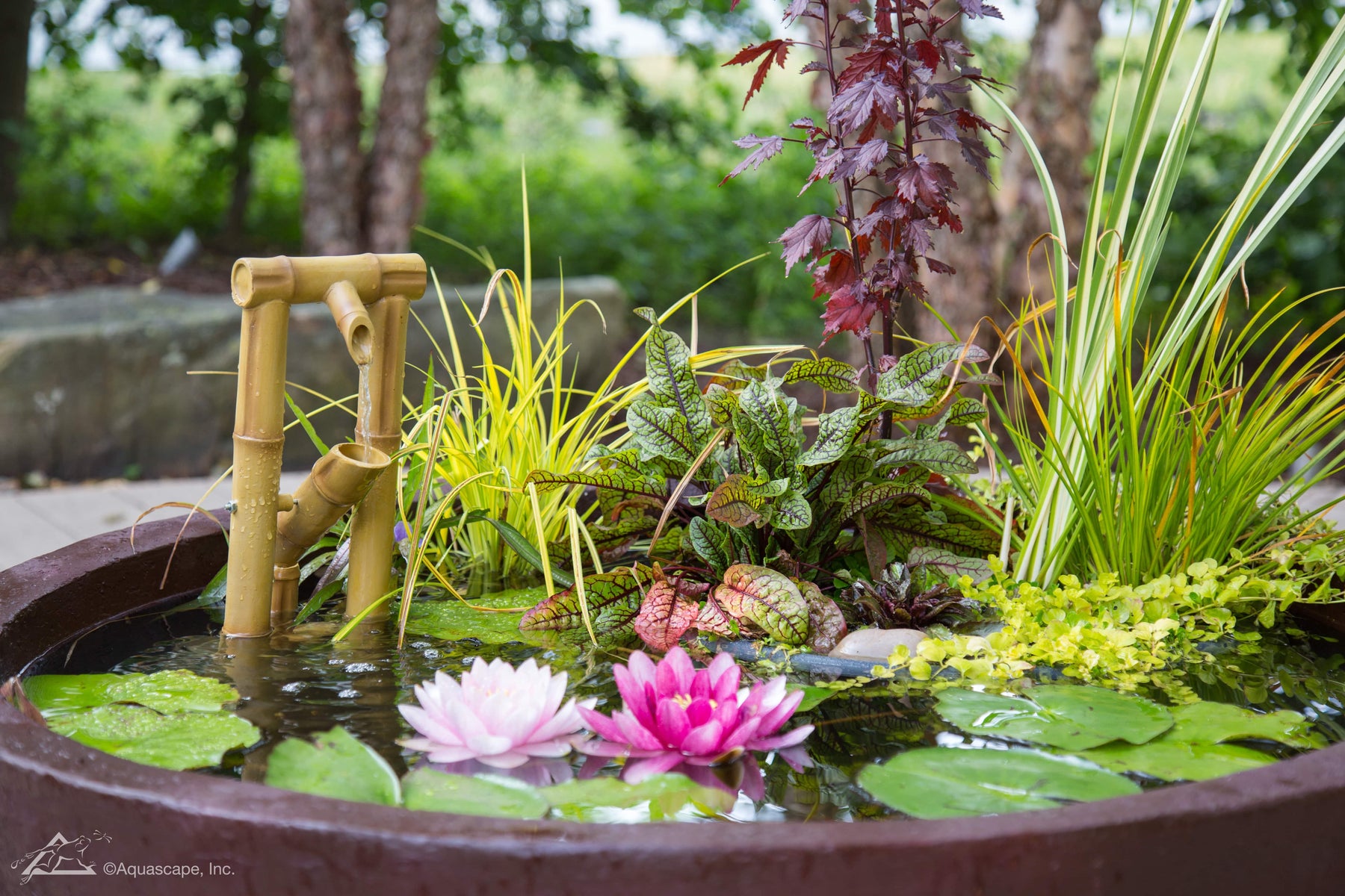 How a Patio Pond or Pot Water Feature Can Transform Your Deck or Patio - Aquascape Australia