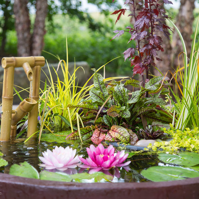 How a Patio Pond or Pot Water Feature Can Transform Your Deck or Patio - Aquascape Australia