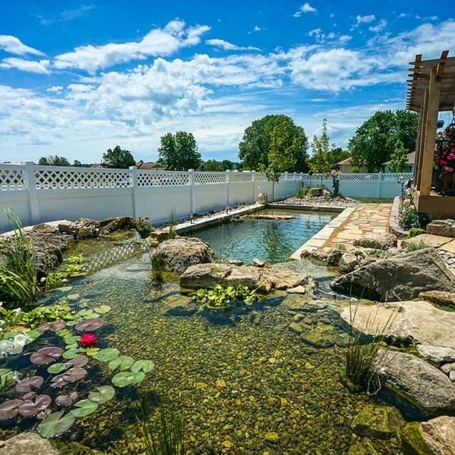 &#x200B;Choosing the Right Pond Filter for Your Water Garden - Aquascape Australia