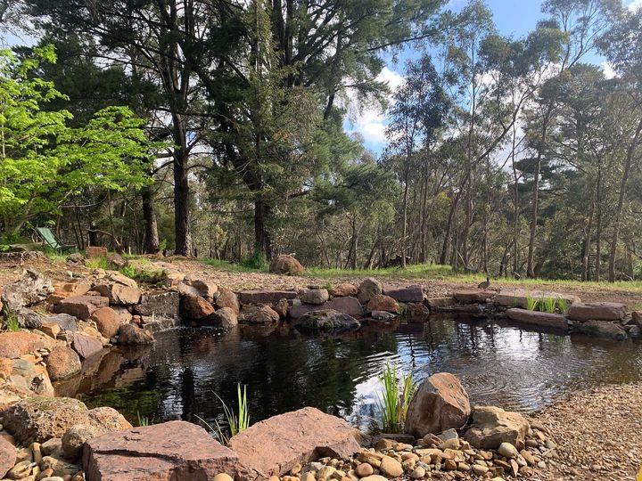 Spring Time Pond Changes. — Aquascape Australia