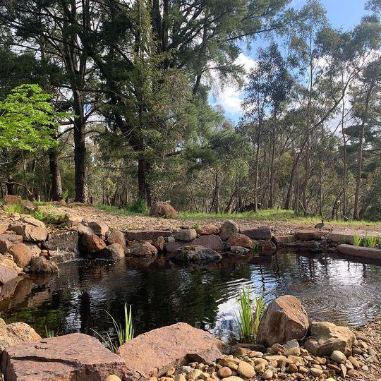 Spring Time Pond Changes. - Aquascape Australia