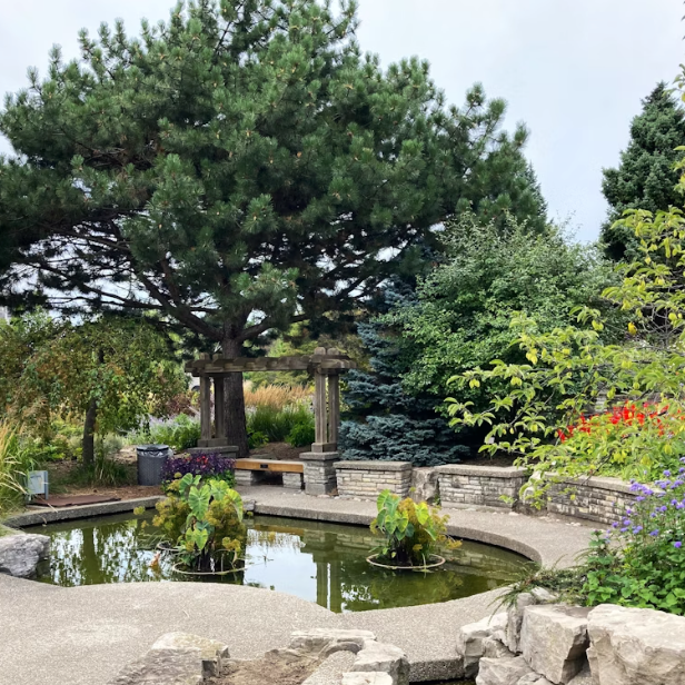 Outdoor Ponds: A Step-by-Step Guide to Designing, Building, and Stocking Your Dream Pond