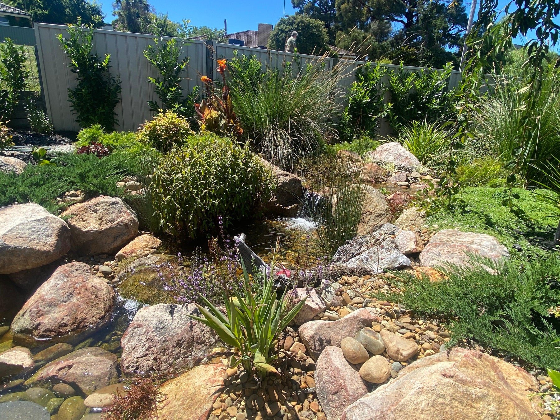 Ideal Filters for Small Water Gardens - Aquascape Australia