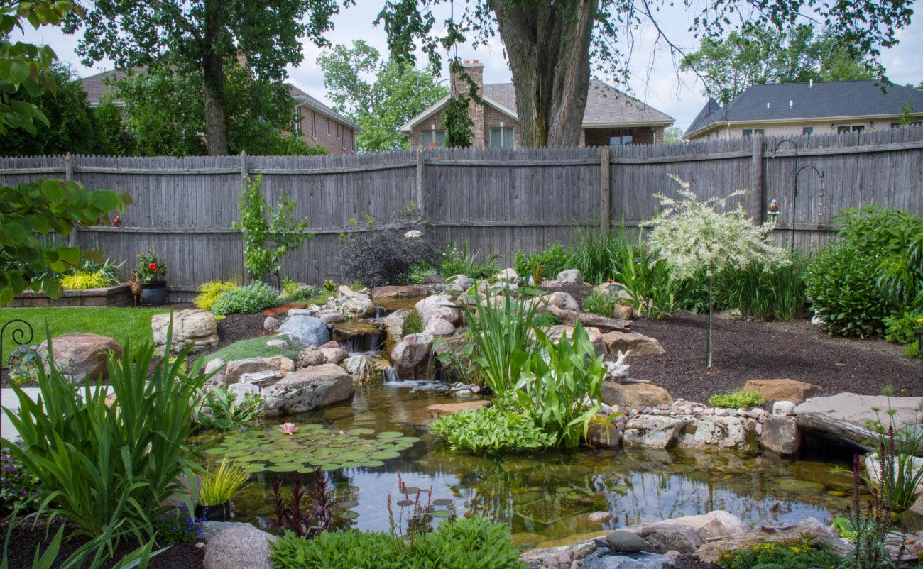 How to achieve a low-maintenance pond in your backyard - Aquascape Australia