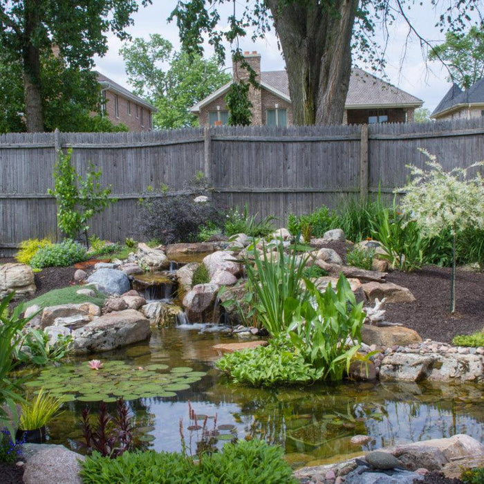 How to achieve a low-maintenance pond in your backyard - Aquascape Australia