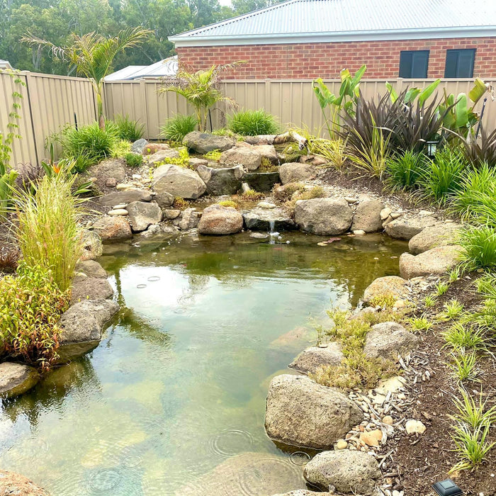 A Stunning Garden Pond Takes Centre Stage - Aquascape Australia