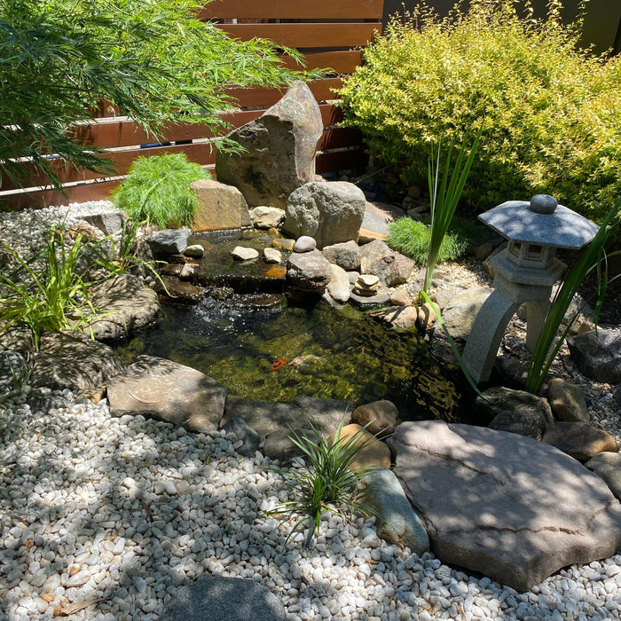 Professional Tips for Your Water Feature Maintenance - Aquascape Australia
