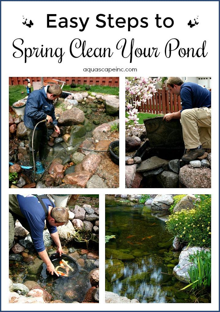Successfully Clean Your Pond For Spring - Aquascape Australia