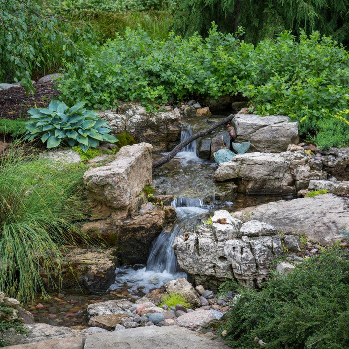 A Guide to Choosing the Perfect Pond Pump for Your Water Feature - Aquascape Australia
