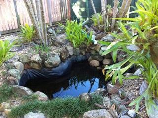 Amazing New Turtle Pond — Aquascape Australia