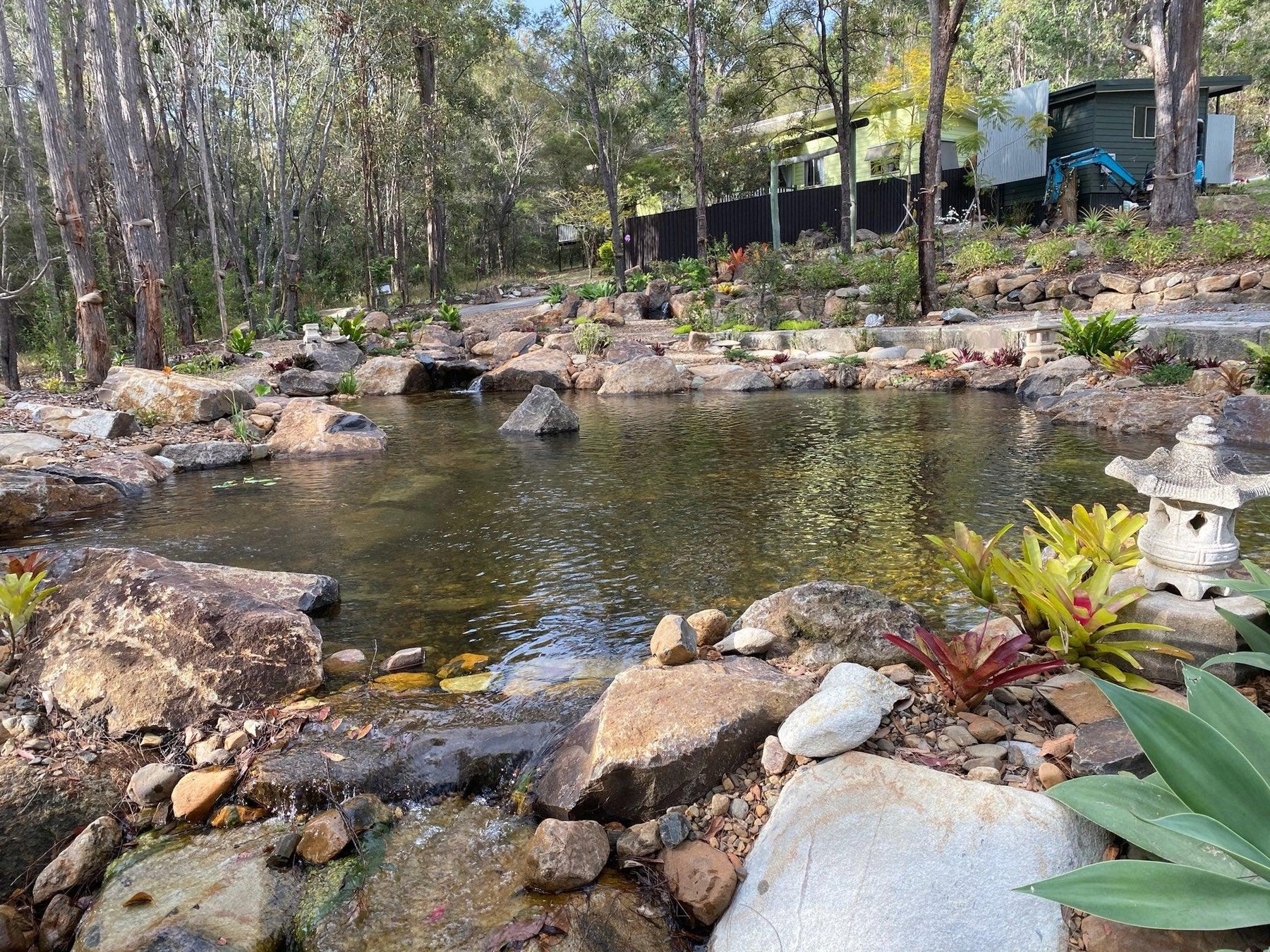 7 Tips to Maintain Clean Pond Water - Aquascape Australia