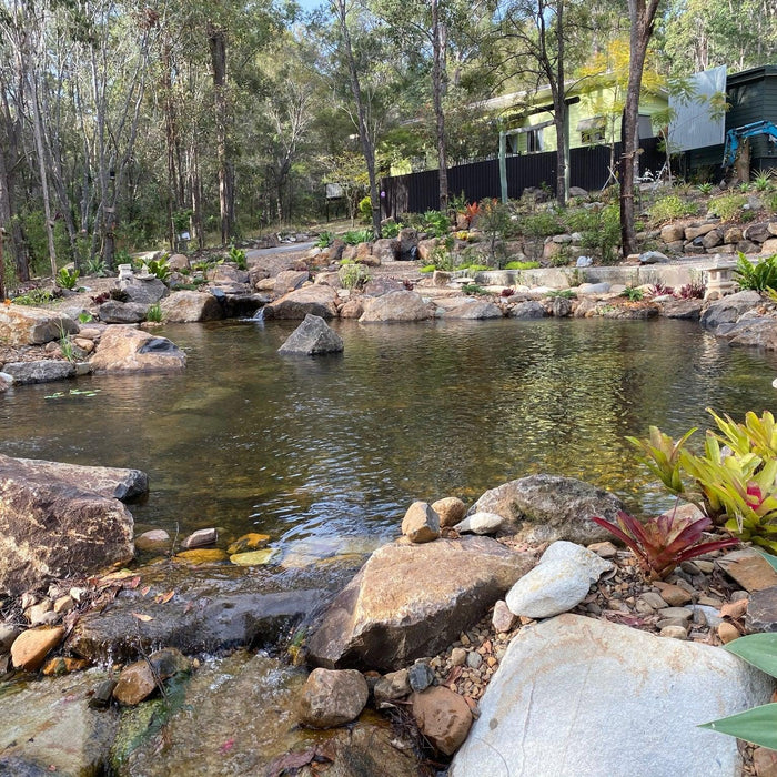 7 Tips to Maintain Clean Pond Water - Aquascape Australia
