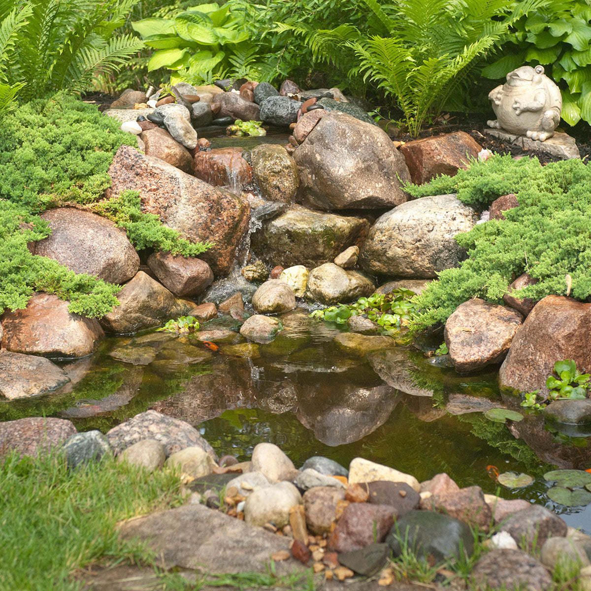 Pond & Waterfall Kits