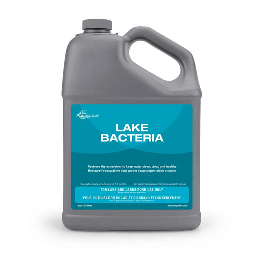 Lake Bacteria - Aquascape Australia