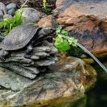 Turtle on Log Spitter - Aquascape Australia