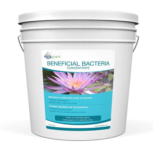 Beneficial Bacteria Concentrate - Aquascape Australia