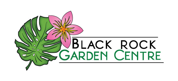 Black Rock Garden Centre