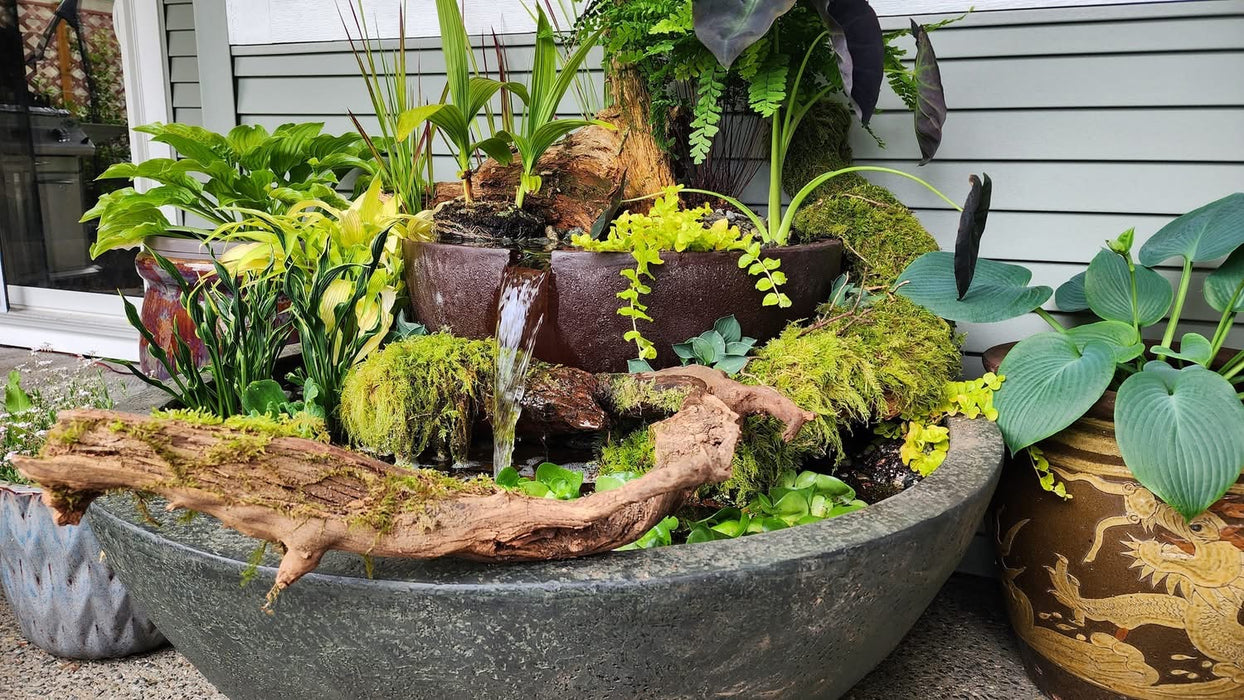 152cm Fountain Bowl with 81cm Fountain Bowl & Filtration Kit