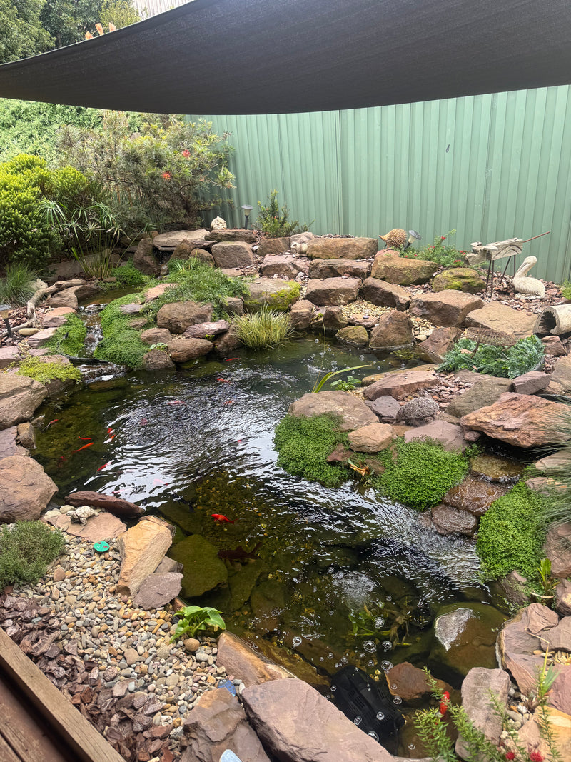 Chris Chierego 's Pond project in 3756