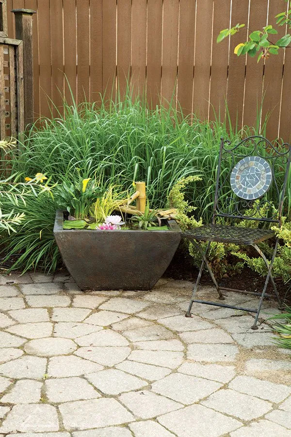 Mini Ponds: Container Water Gardens for Your Patio or Backyard