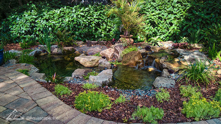 Small Pond Kit 2.4m x 3.3m