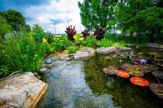 What is a Wetland Filter?