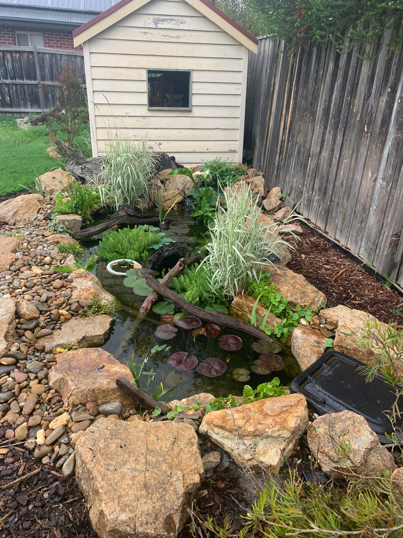 Doreen's Pond project in Victoria