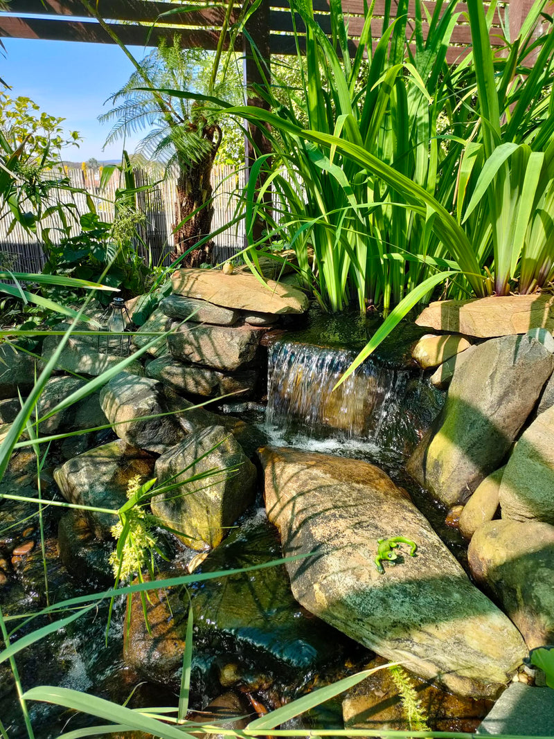 Greg M.'s Pond project in 