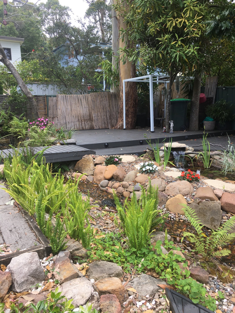 Peter M.'s Pond project in 