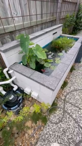 Shane H.'s Pond project in 