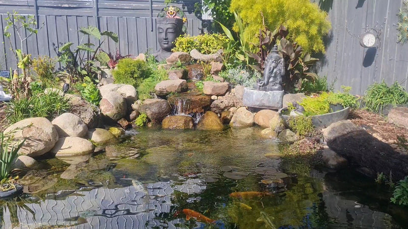 Vick C.'s Pond project in 
