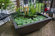 Textured Grey Slate Patio Pond - Aquascape Australia