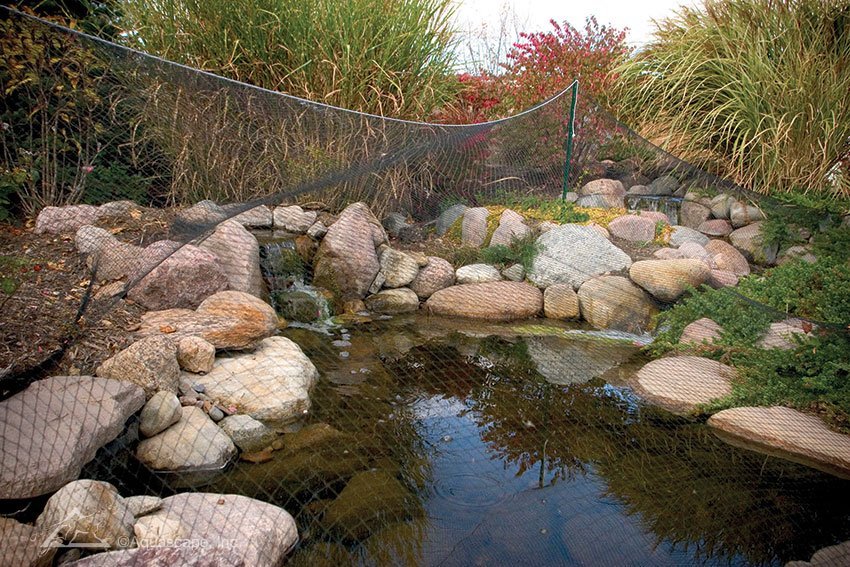 Protective Pond Netting